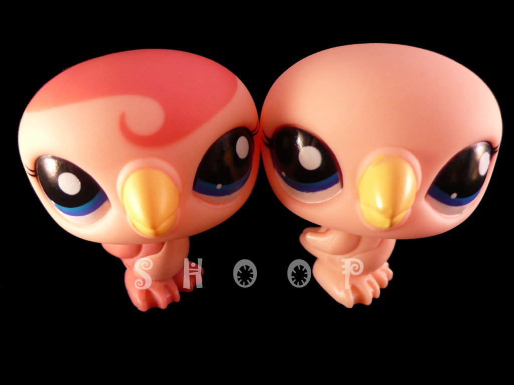 LPS 2594 | 2594 BIS