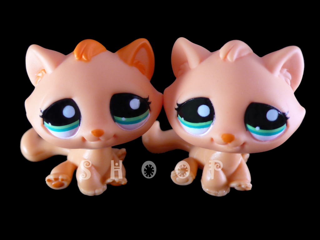 LPS 2603 | 2603 BIS