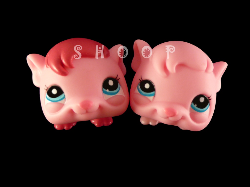 LPS 2604 | 2604 BIS