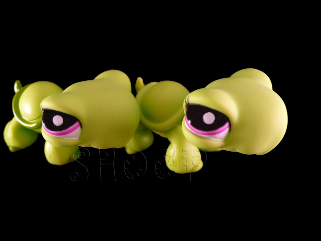 LPS 2607 | 2607 BIS