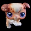 LPS 37