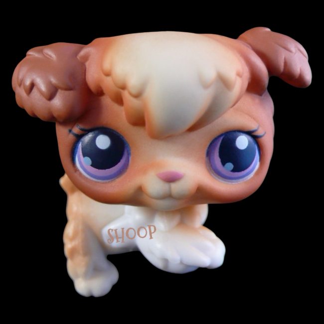 LPS 37