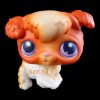 LPS 37 BIS