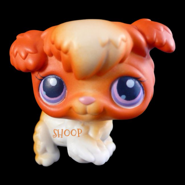 LPS 37 BIS