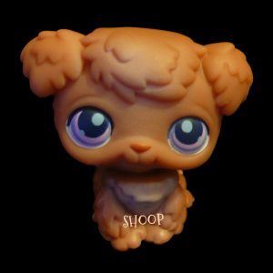 LPS 38