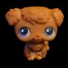 LPS 39