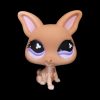 LPS 461 BIS