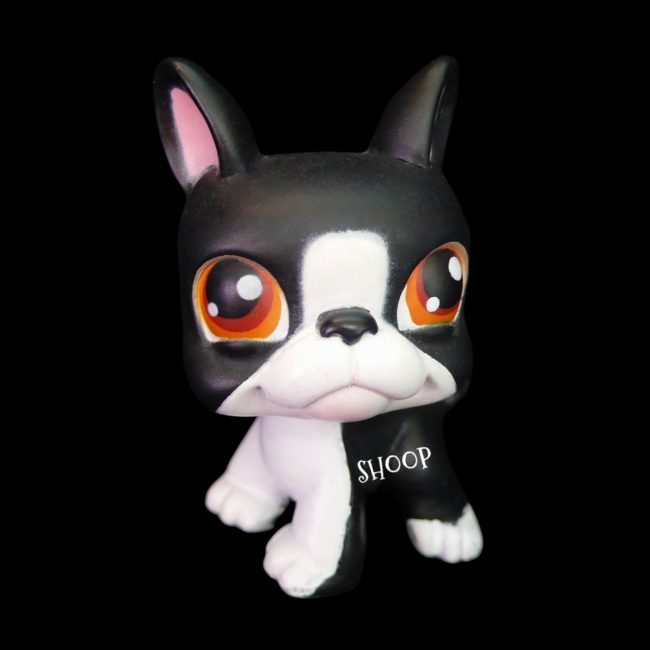 LPS 63