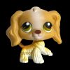 LPS 79 | 79 BIS