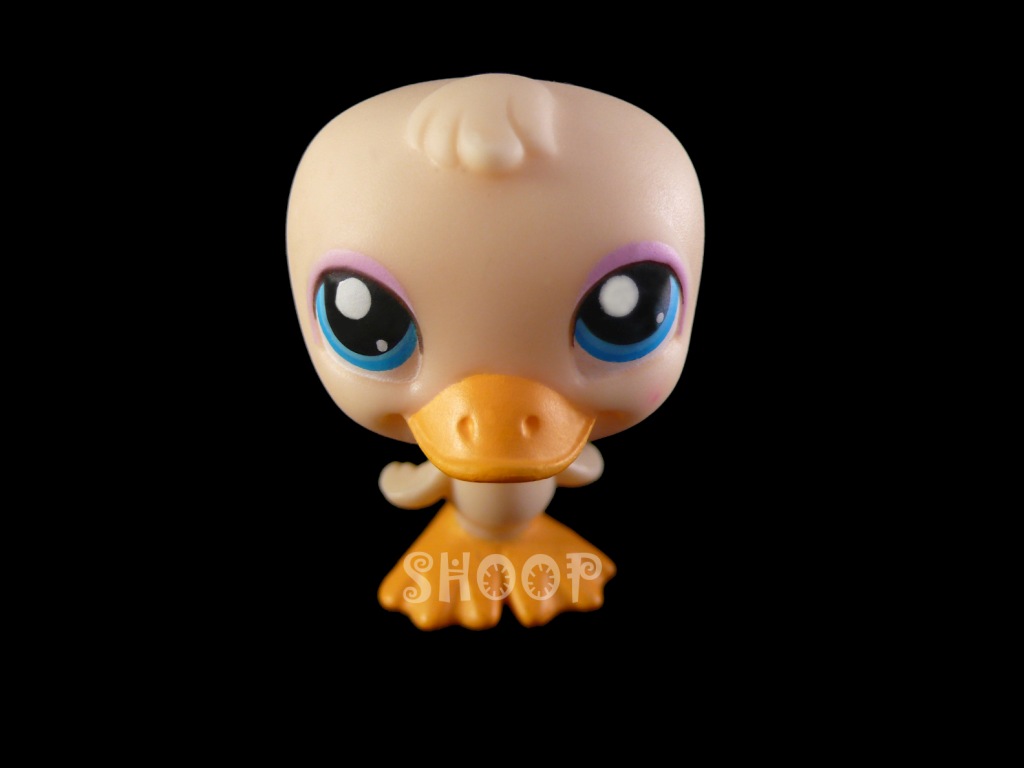 LPS Spring Tube 2006 | Canard