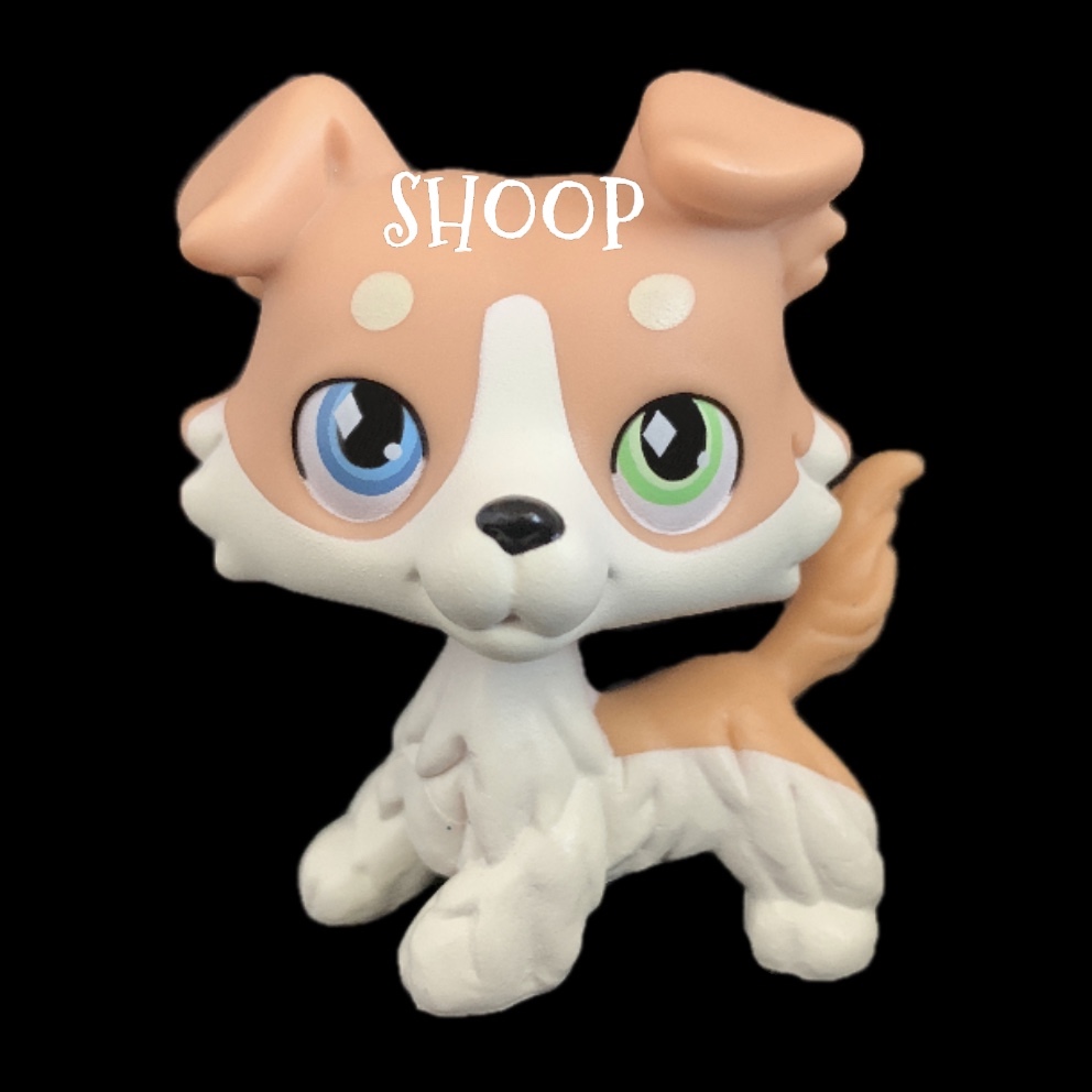 LPS FAKE | Chien Colley #9