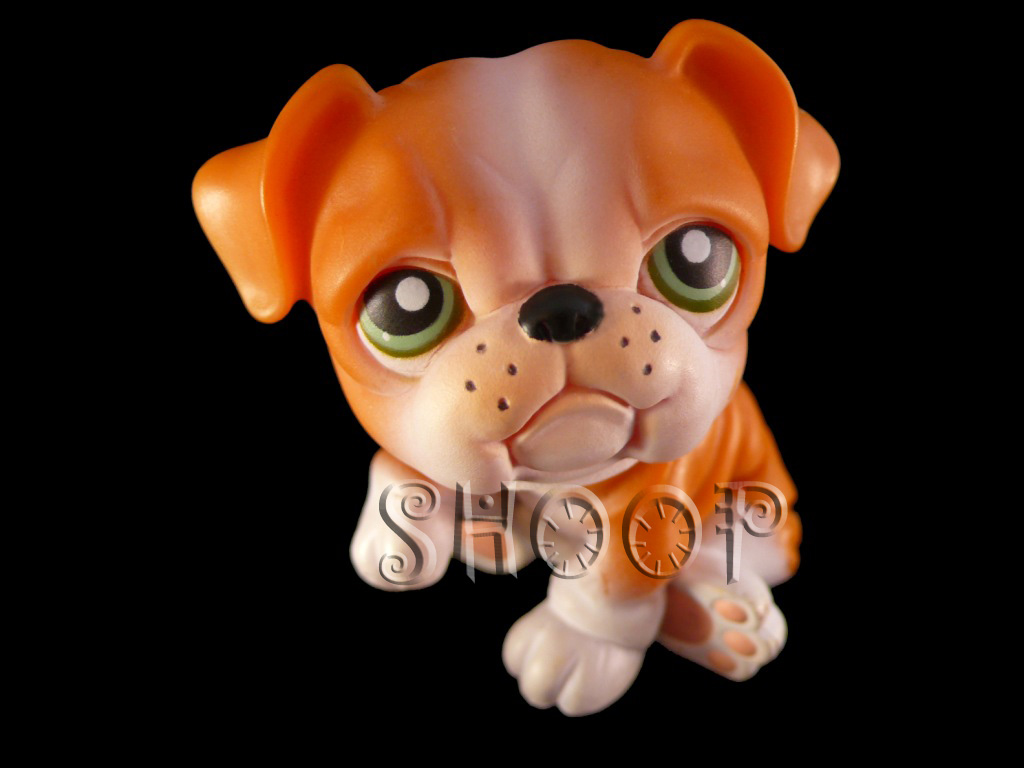 LPS Costco Carry Case 2006 #2
