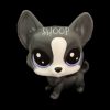 LPS Méga Pack Collector | Chien Corgi 1