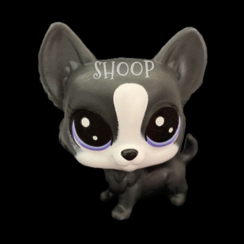 LPS Méga Pack Collector | Chien Corgi 1