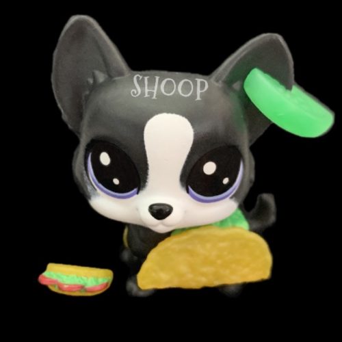 LPS Méga Pack Collector | Chien Corgi 1