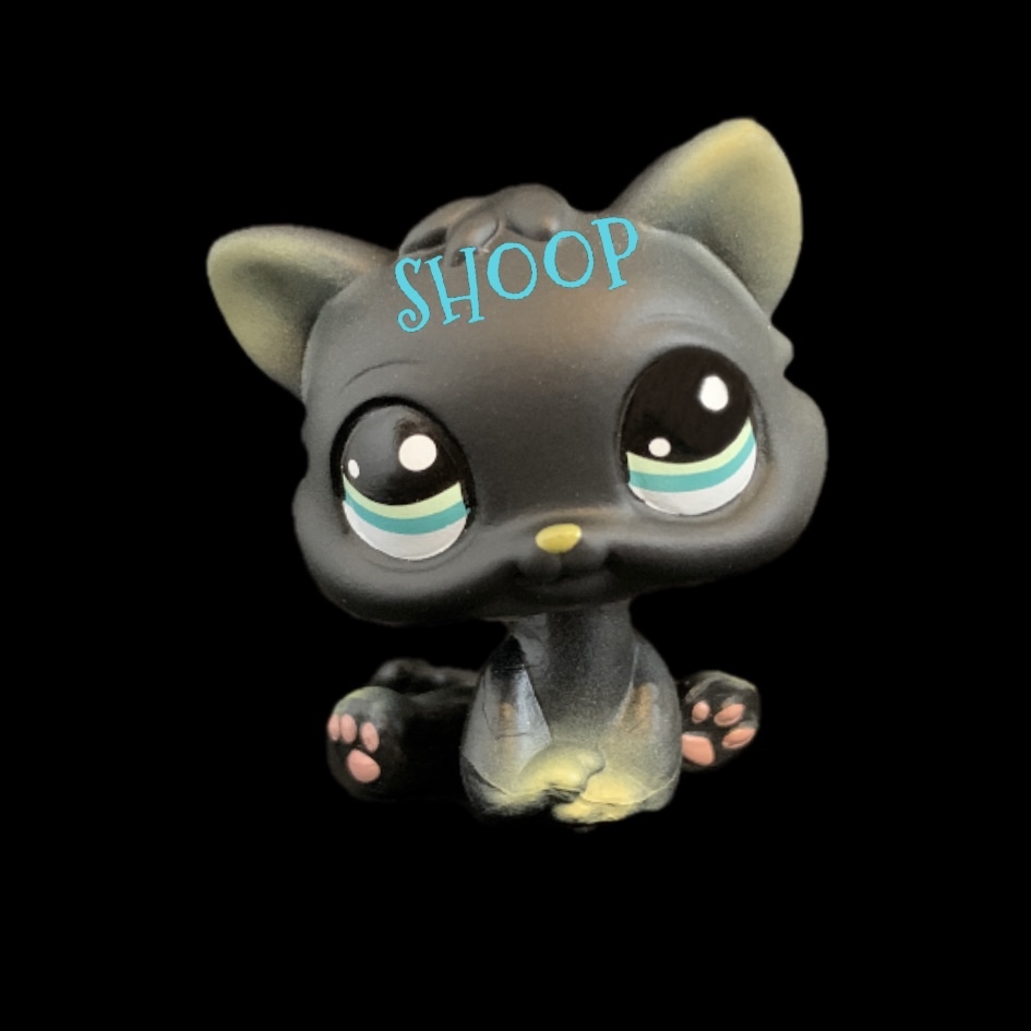 LPS FAKE | Chat Snowshoe #4