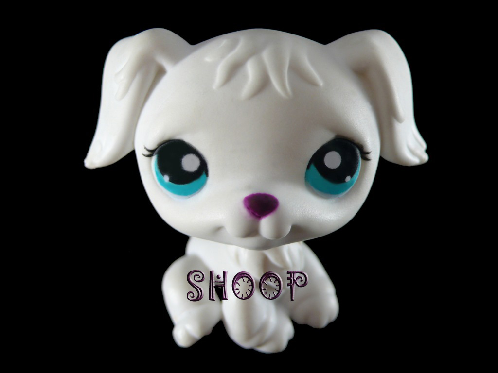 LPS Get Better Center 2007