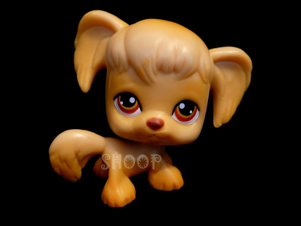 LPS Hard Plastic | Série 1 | Chien Cocker