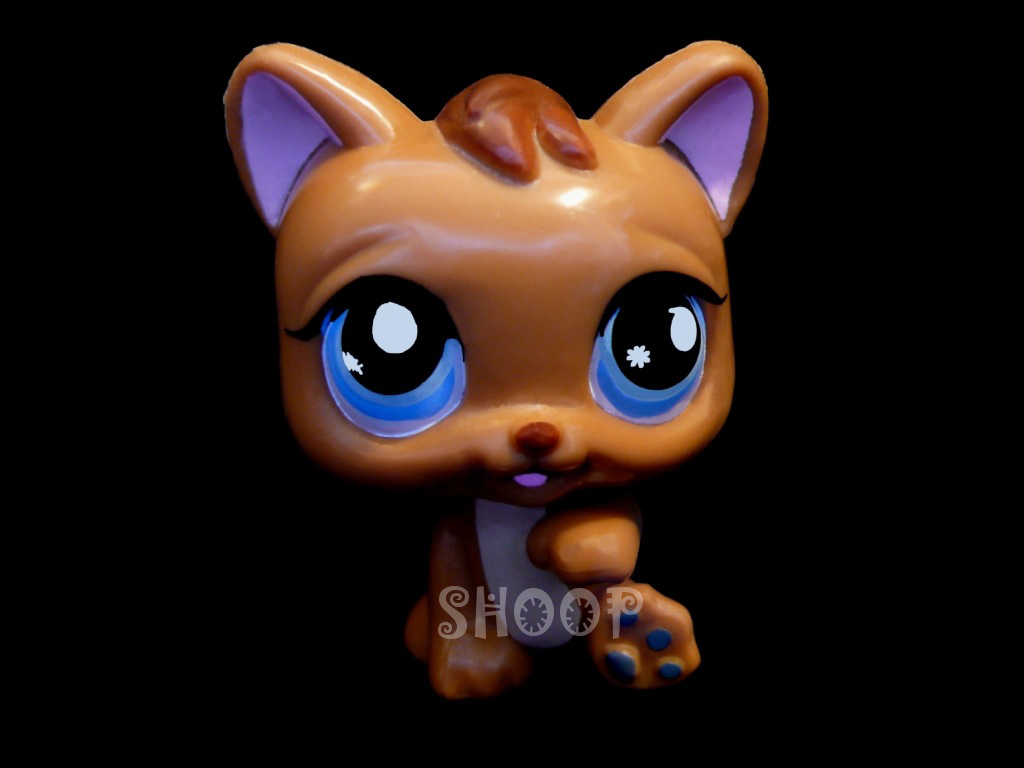 LPS Hard Plastic | Série 2 | Chat Chartreux