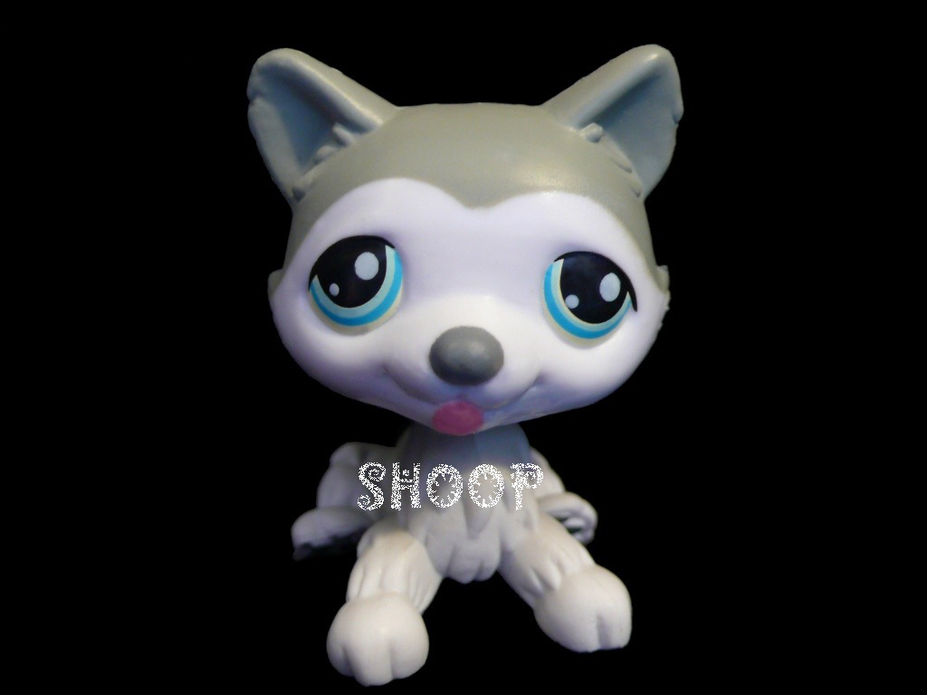 LPS Hard Plastic | Série 1 | Chien Husky