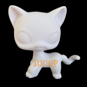 Chat