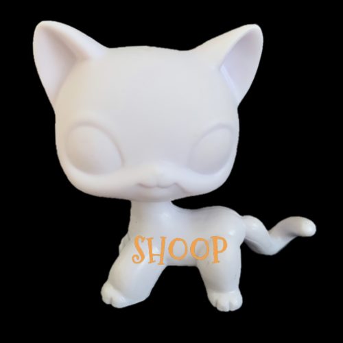 Chat