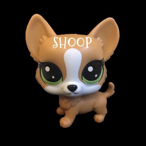 LPS Méga Pack Collector | Chien Corgi 2