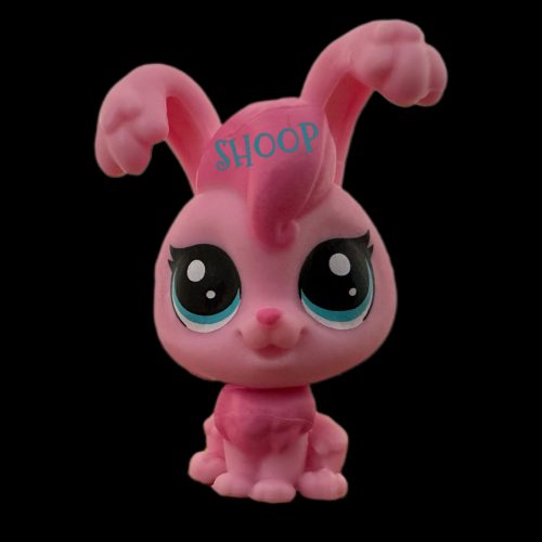 LPS KMP Tiny Pet Carrier #12