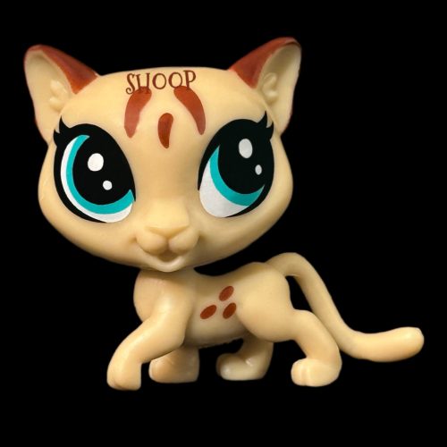 LPS Magazine 2020 | Cougar