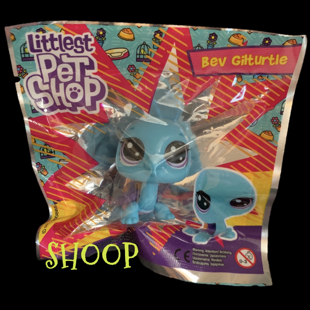 LPS Magazine 2018 | Bev Gilturtle