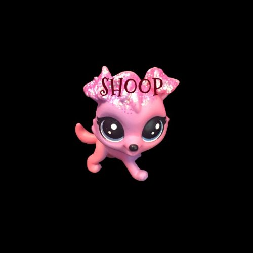 LPS NN 11