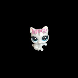 LPS NN 77