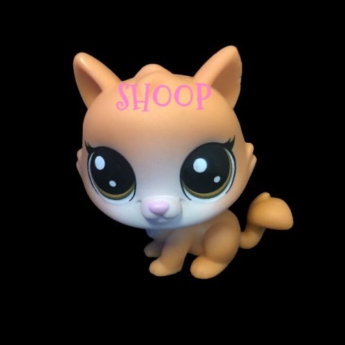 LPS NN 78