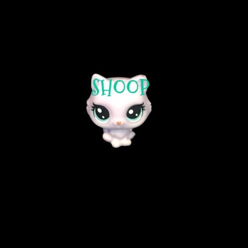 LPS NN 81