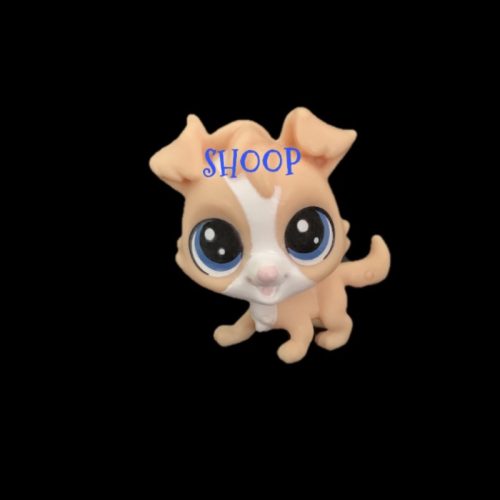 LPS NN 89