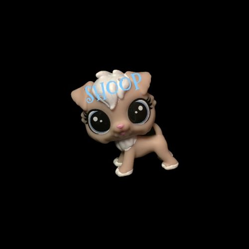 LPS PC 21
