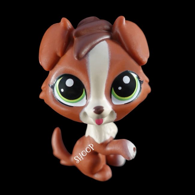 LPS PC 210