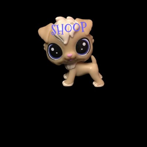 LPS PC 22