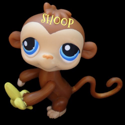 LPS PP2