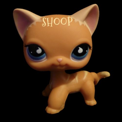 LPS Puzzle 2008 | Chat Européen