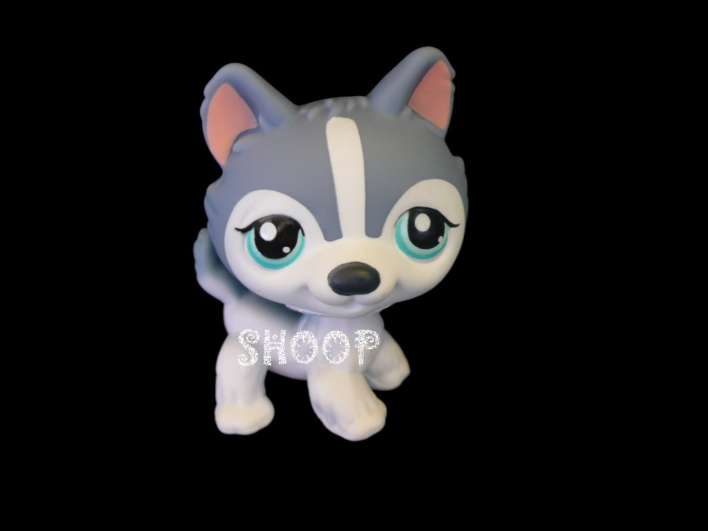 LPS Puzzle 2009 | Chien Husky