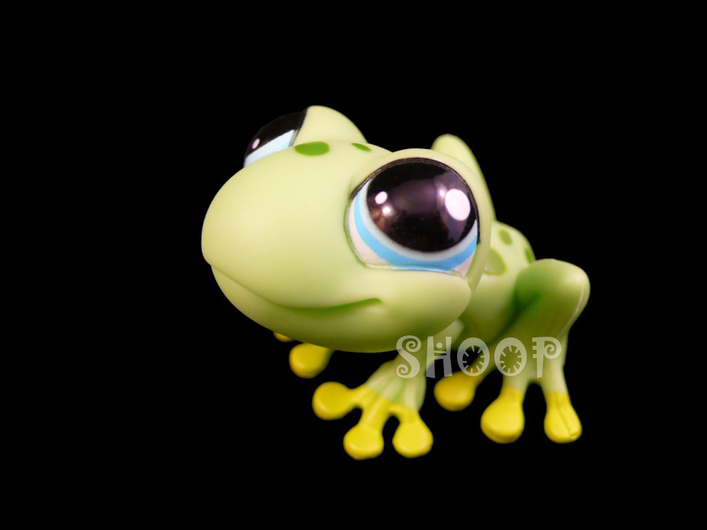 LPS Puzzle 2009 | Grenouille