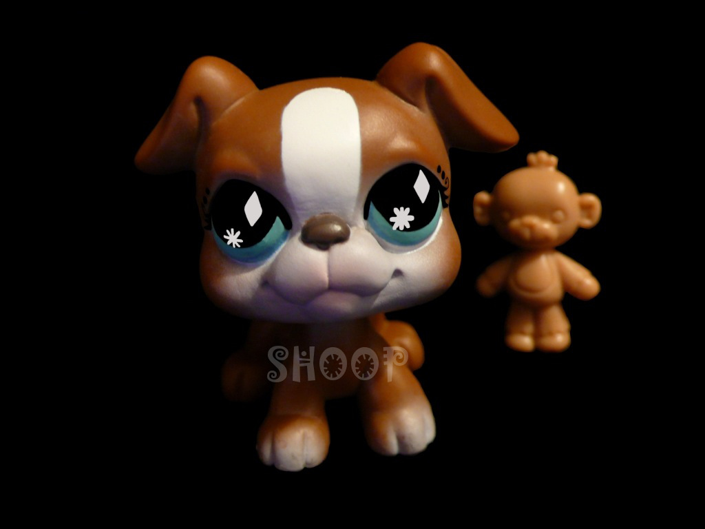 LPS Puzzle 2008 | Chien Boxer