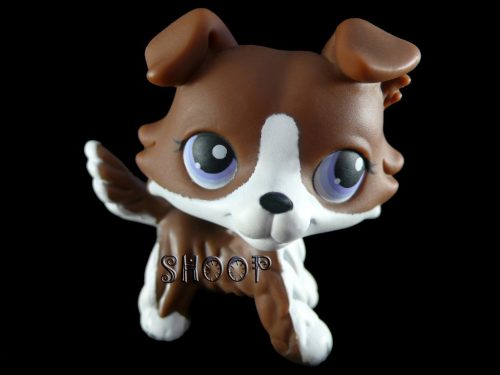 LPS Puzzle 2007 | Colley