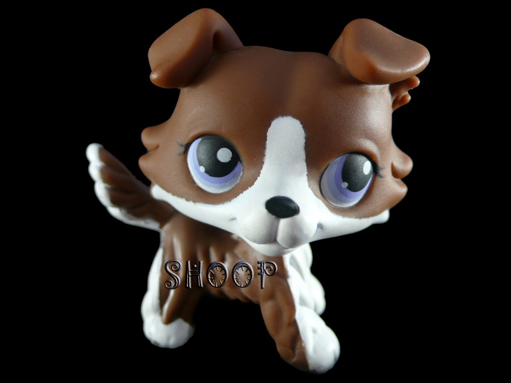 LPS Puzzle 2007 | Colley
