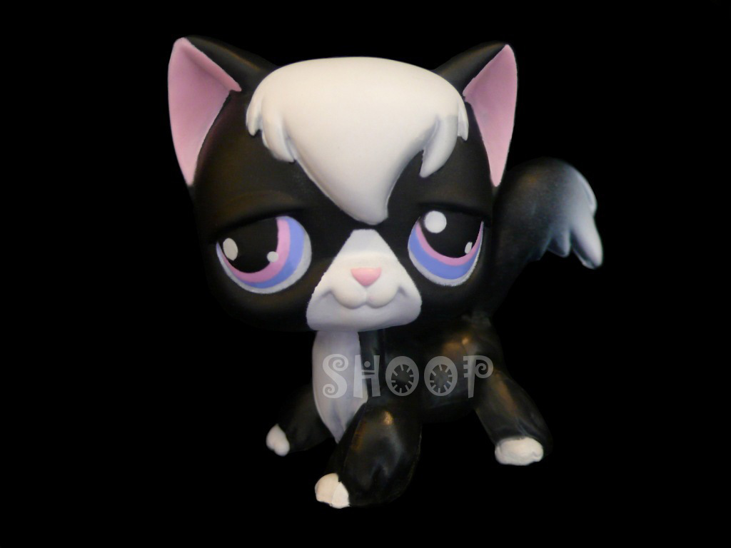 LPS Puzzle 2007 | Chat Angora