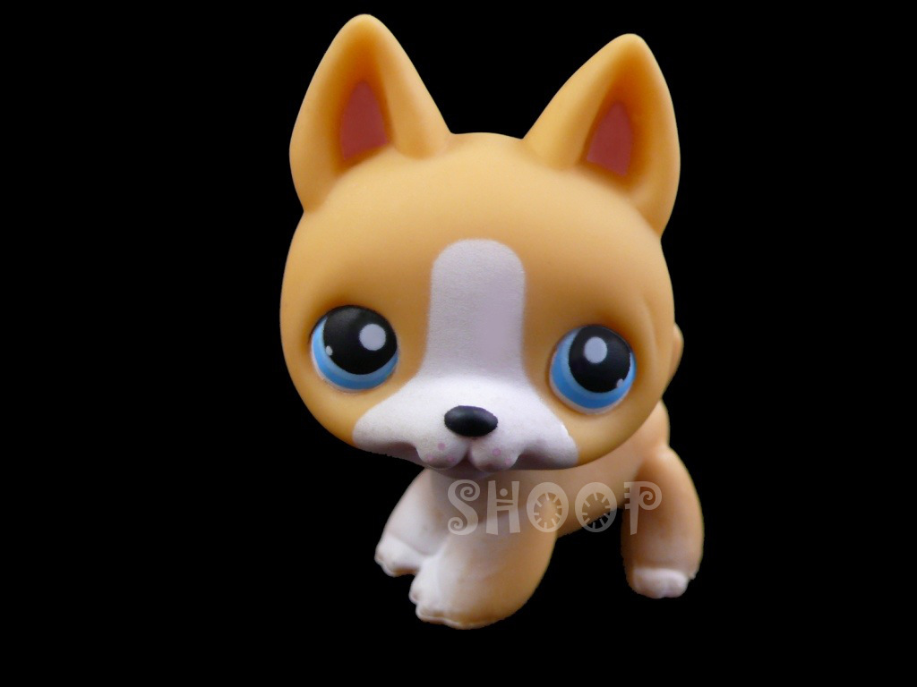 LPS Toy&rsquo;s R Us Biggest Littlest Pet Shop 2007