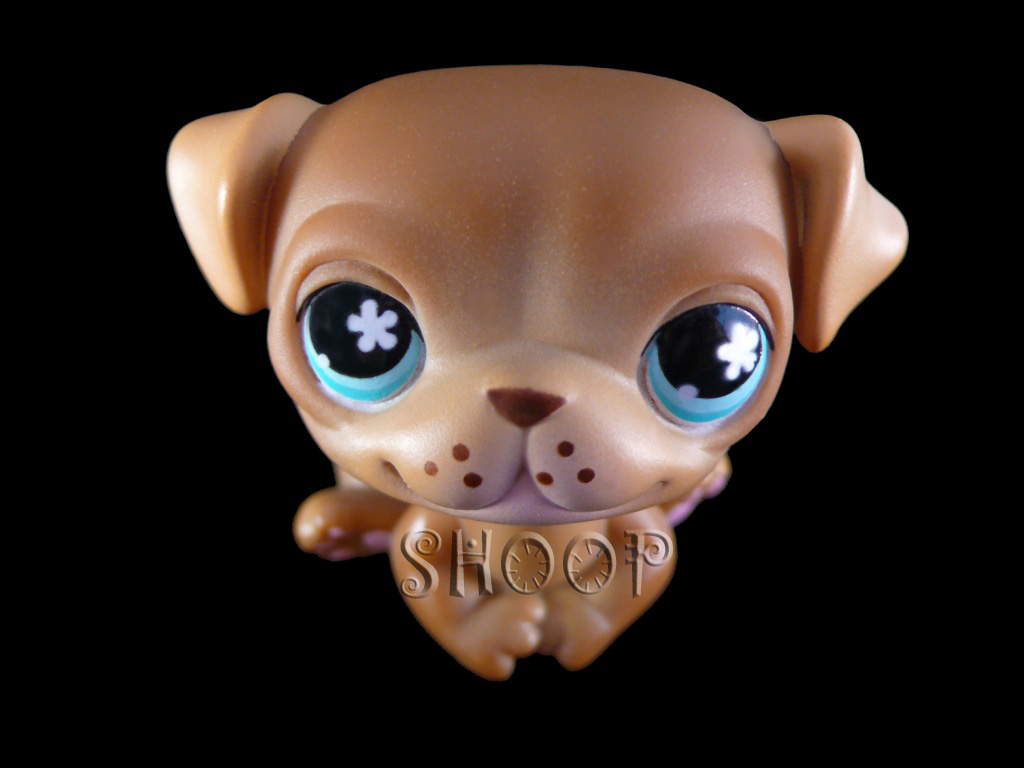 LPS Scholastic Book Pack 2008 | Teacher&rsquo;s Pet Book Combo