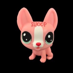 LPS LP Fortune Cookie #1-5