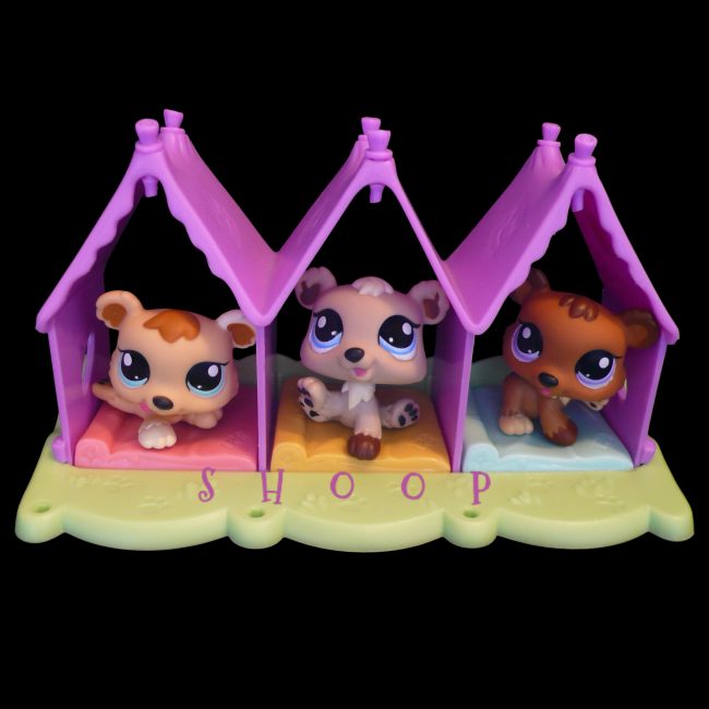 LPS 1554 | 1555 | 1556